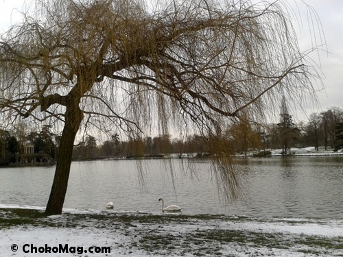 neige1 les bois de vincennes sous la neige, lac daumesnil avec couple de cygnes