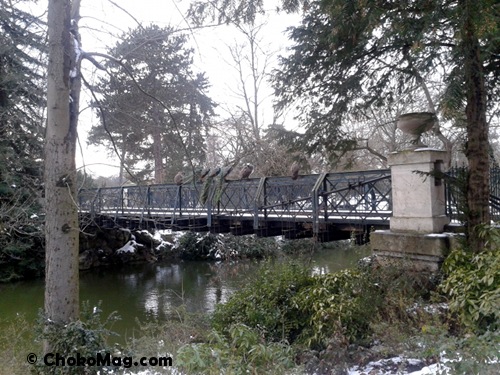 neige3-ile-bercy rangée de paons sous la neige sur le pont de l'ile de bercy aux bois de vincennes