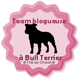 blog bull terrier