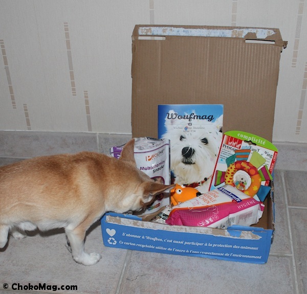 ouverture box woufbox