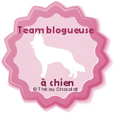 team blogueuse à chiens