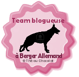 team blogueuse à chien versus team blogueuse à chat
