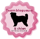 team blogueuse à chien