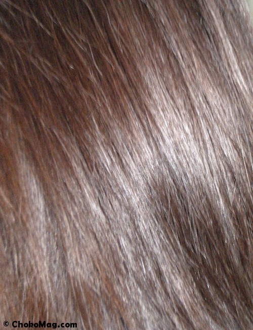résultat r lizz kerashot des cheveux réparés grâce à la keratine et hydratés par les protéines de soie