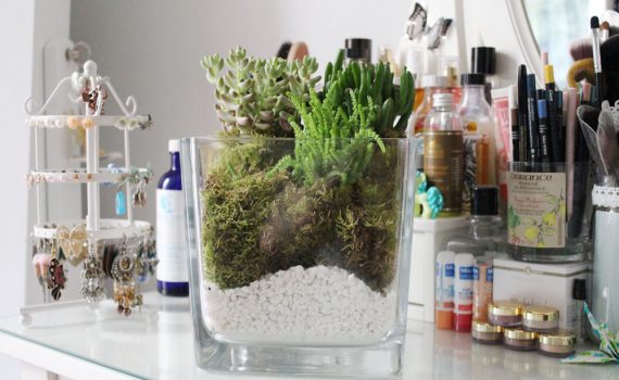 diy terrarium