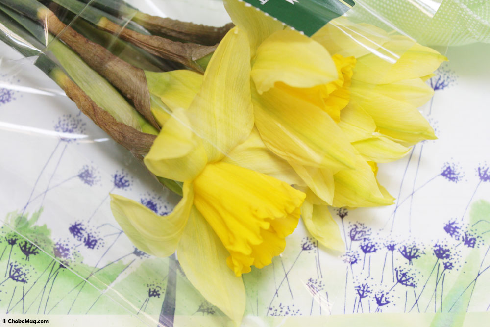bouquet une jonquille pour cury