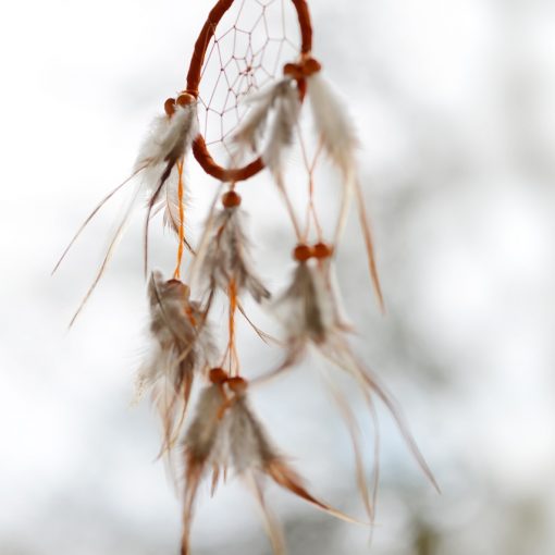 Dreamcatcher