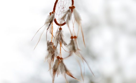 Dreamcatcher